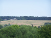 Cliquez sur l'image pour agrandir !